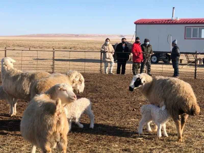 巴日哈家庭:抗“疫”路上的两代人