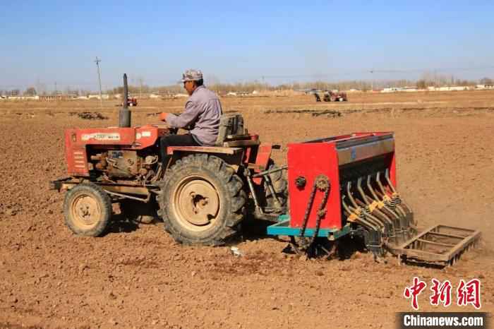 图为河套灌区春小麦开播现场。　闫巍 摄
